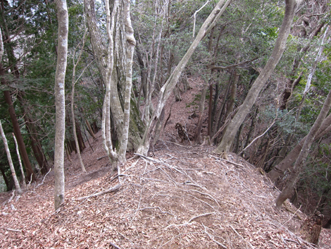 20190205hike (238)
